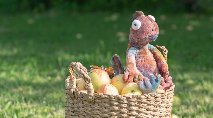 Kameleontti-pehmoeläin istuu punotussa korissa, joka on täynnä omenoita.